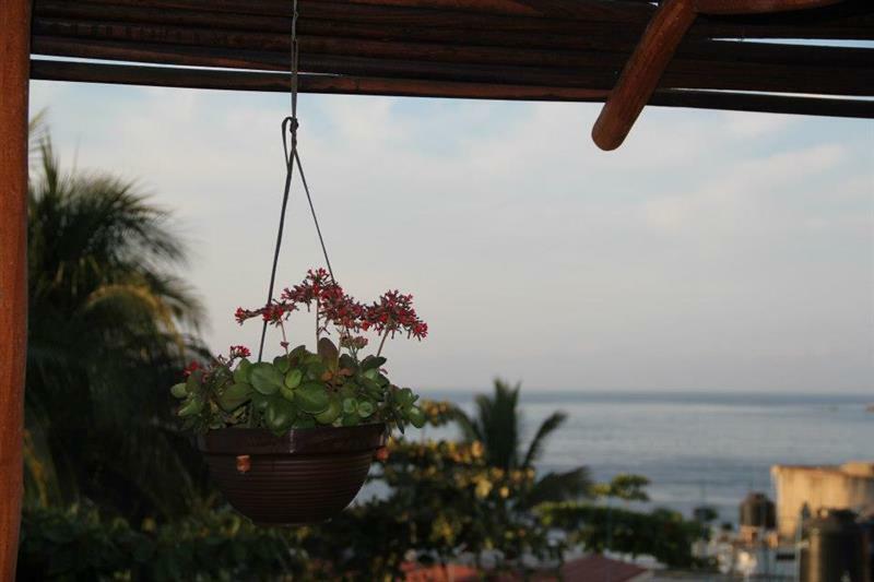 Lalora Hotel & Villas San Patricio Melaque Ngoại thất bức ảnh